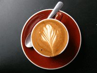 coffee-espresso_flower image of coffee-espresso_flower