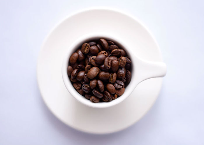thailand coffee tourism